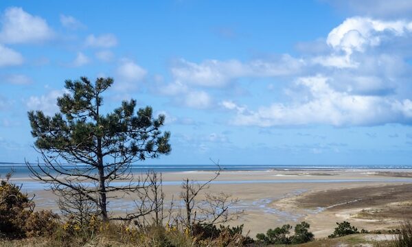 terschelling