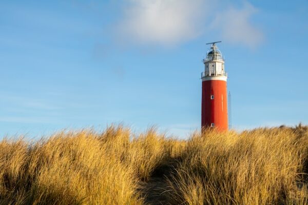 texel