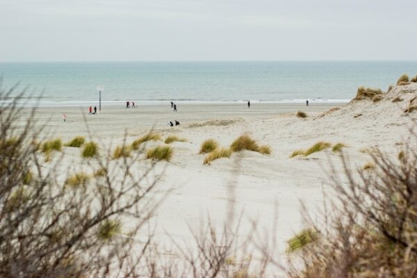 vakanties in Zuid-Holland