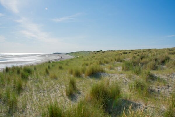 vakanties-in-zeeland