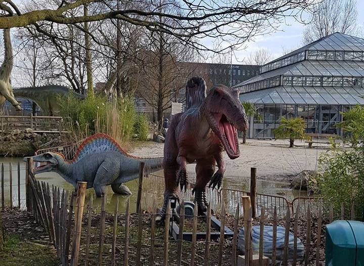 Dinoland-Zwolle