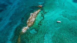 Overzicht met de mooiste duikplekken op Barbados 🐠