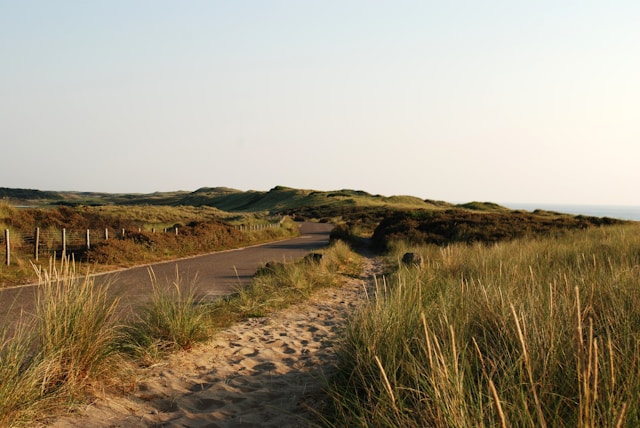 De Duinen van Texel